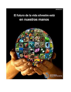 Revista De La Vida Silvestre