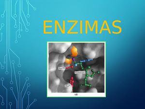 Enzimas 1
