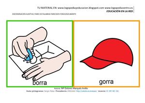 Copia De Discriminacion Auditiva De Palabras Parecidas Pdf Ardilla Digital