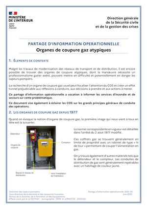 PIO 2020 Organe Coupure Gaz Atypique BDFE DGSCGC