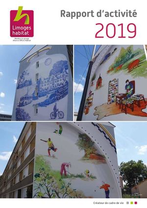 Rapport Activite 2019