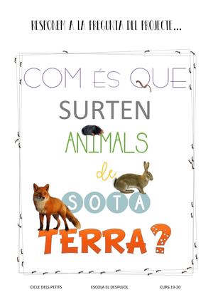 Resposta Projecte Petits 2020