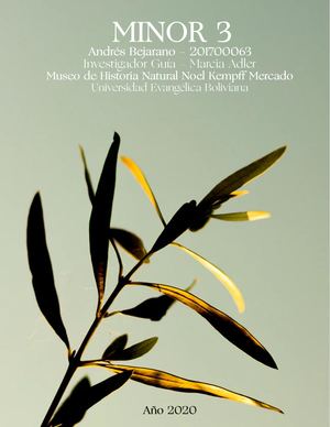 MINOR 3 - Conocimiento milenario indígena de las abejas nativas.