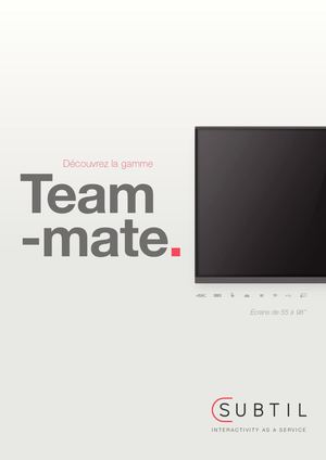 Csubtil Teammate Brochure 2020