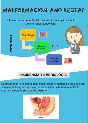 (Malformacion Ano Rectal)
