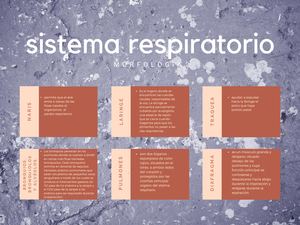 Sistema Respiratorio Mapa Conceptual