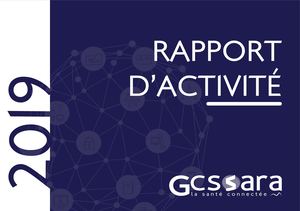 Rapport d'activité Gcs Sara 2019