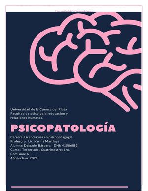 Integrador De Psicopatologia