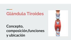 Glándula Tiroides