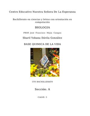 Base Química De La Vida