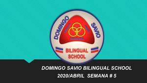 2 Protocolo De Clase Virtual 2020