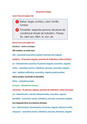 Soluciones Lengua del 15 al 19 de junio