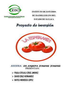 Cultivo De Tomate Bajo Invernadero