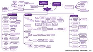 Infografia Modelos Organizacionales