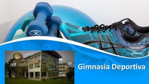 6 Los Ejercicios Gimnasticos En La Educacion Fisica