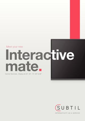 Csubtil Teammate Brochure 2020b