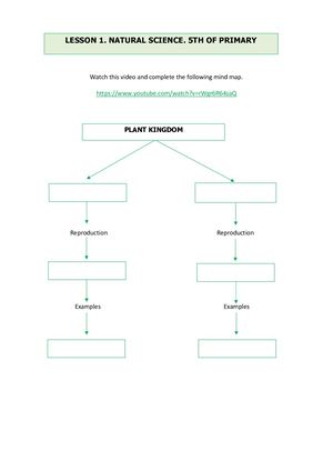 Mind Map