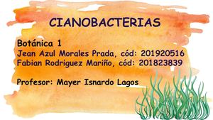 Cianobacterias