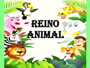 Reino Animal