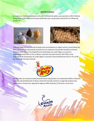 Sector Avícola
