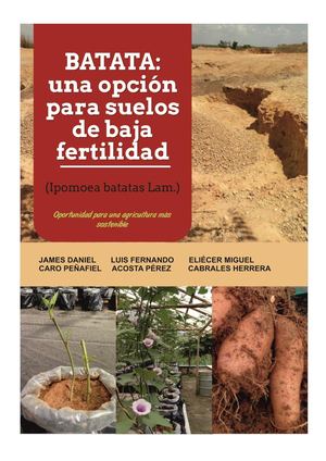 BATATA UNA OPCIÓN PARA SUELOS CON BAJA FERTILIDAD