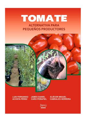 TOMATE ALTERNATIVA PARA PEQUEÑOS PRODUCTORES