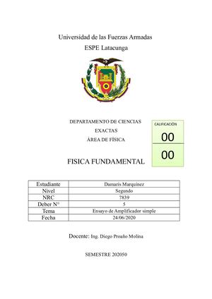 Ensayo De Amplificador Simple