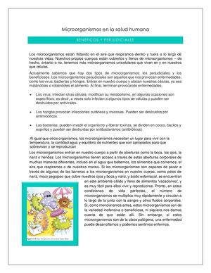 Microorganismos En La Salud Humana