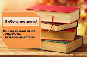 Из чего состоит книга?