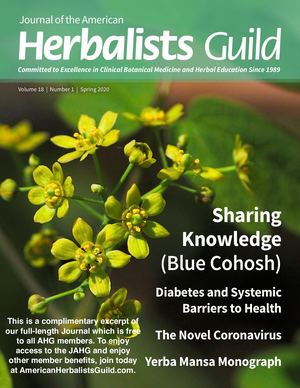 Mini-Mag Spring 2020