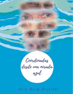 Coordenadas Desde Una Mirada Azul