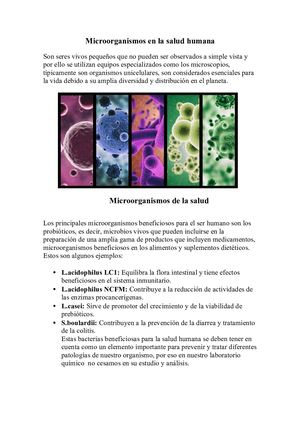 Microorganismo En La Slaud