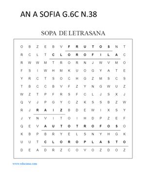 Sopa De Letras Ciencias Naturales