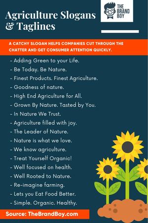 Agriculture Slogans Infographic