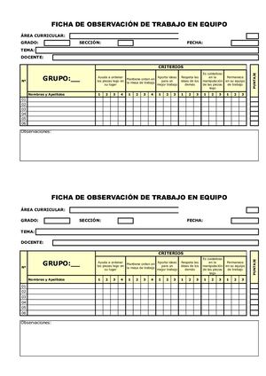 Ficha De Observación Trabajo En Equipo