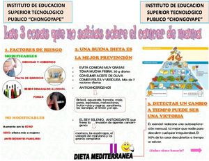 TRIPTICO DE SALUD MATERNA
