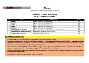 Anexo 01 Ficha De Monitoreo (Inicial, Primaria, Secundaria) Gremo 2020 06 V 1 0 (2) Copia
