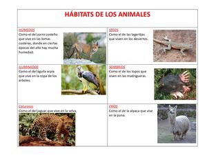 Hábitats De Los Animales