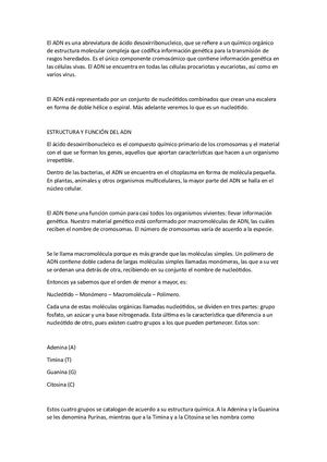 El Adn Sus Partes Y Funcion