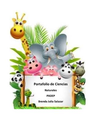Portafolio Ciencias