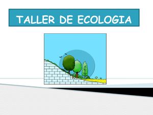 Actividades Taller De Ecologia (Semana 15)