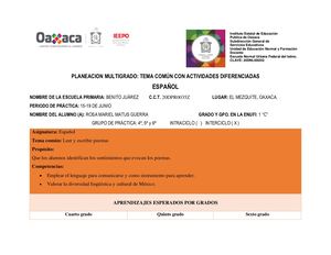 Planeación multigrado Español