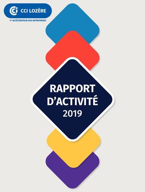 Rapport d'activité 2019