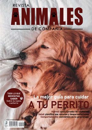 Animales De Compañía