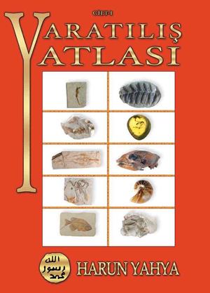 Yaratılış Atlası cilt 1 (Bölüm 1)
