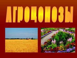 Агроценозы