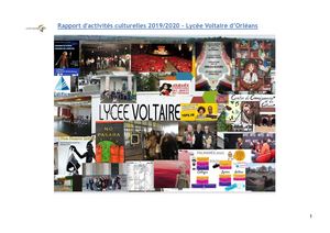 Rapport Référent Culture 2019 2020