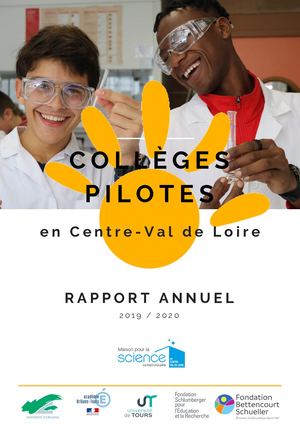Bilan 2019 2020 Collèges Pilotes Cvl
