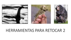 Herramientas Para Retocar 2