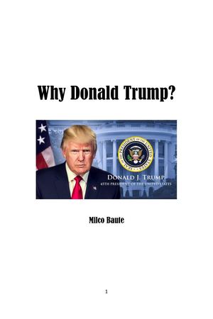 Why Donald Trump? (Milco Baute)